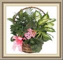 That Special Touch Florist and Gifts, 1039 Chetco Ave, Brookings, OR 97415, (541)_469-7015